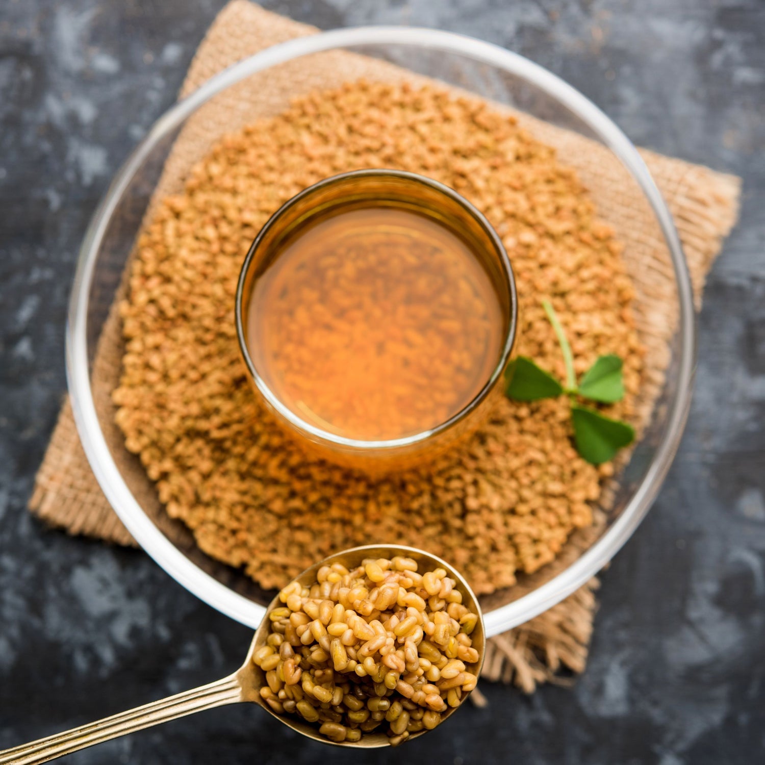 Fenugreek Extracts can be derived from its seeds and leaves