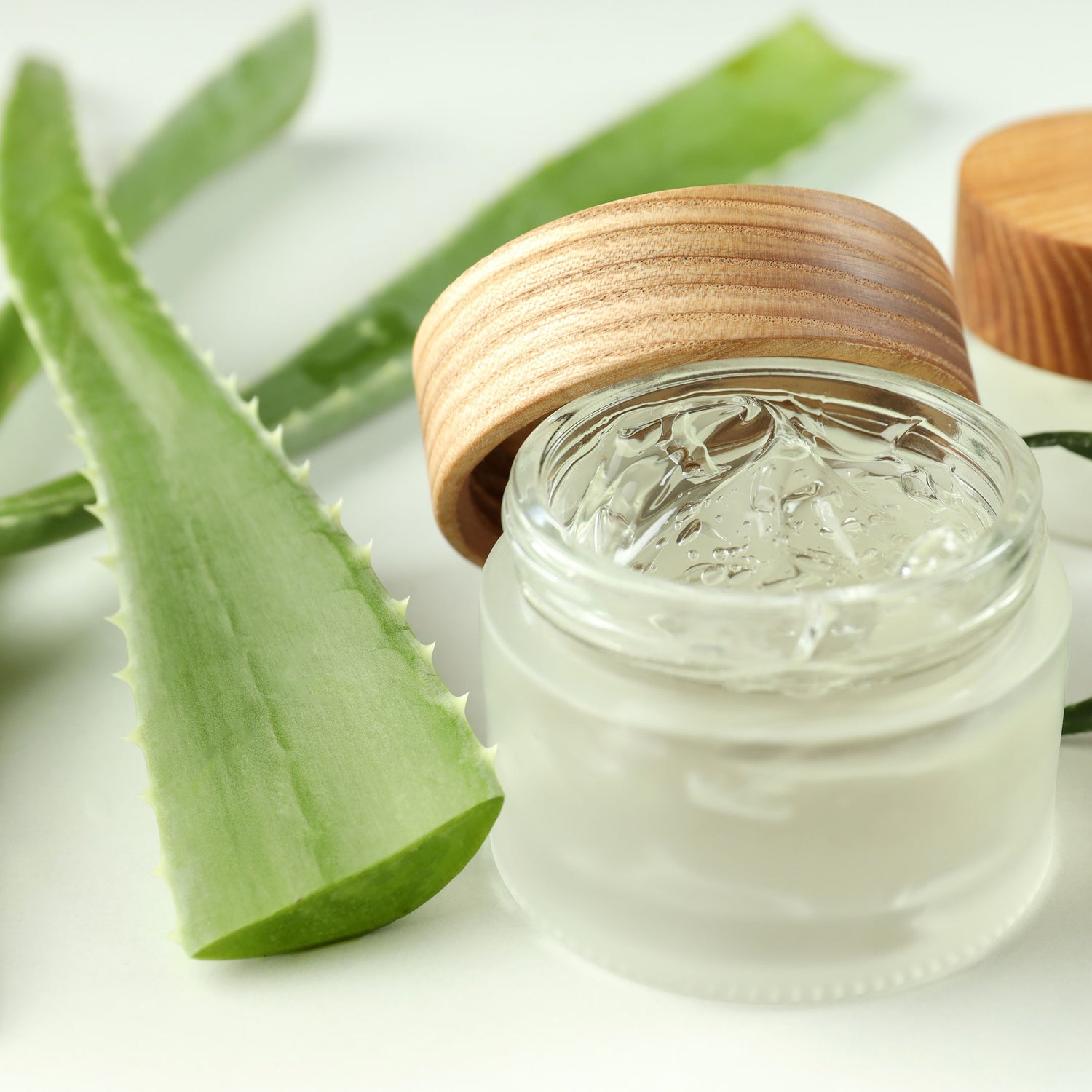 Aloe Vera is derived from the gel like extract within the leaves of the aloe plant