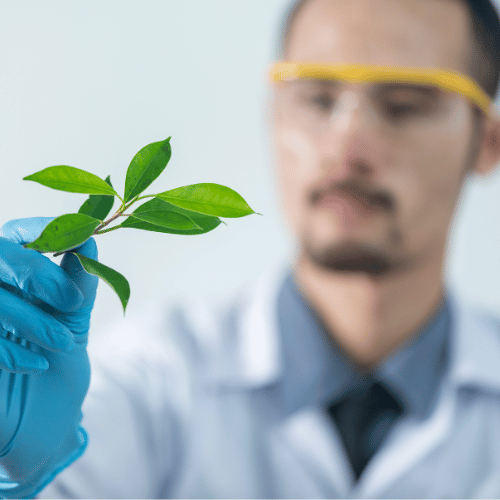 NPA Allowed Processes for Producing Natural Products