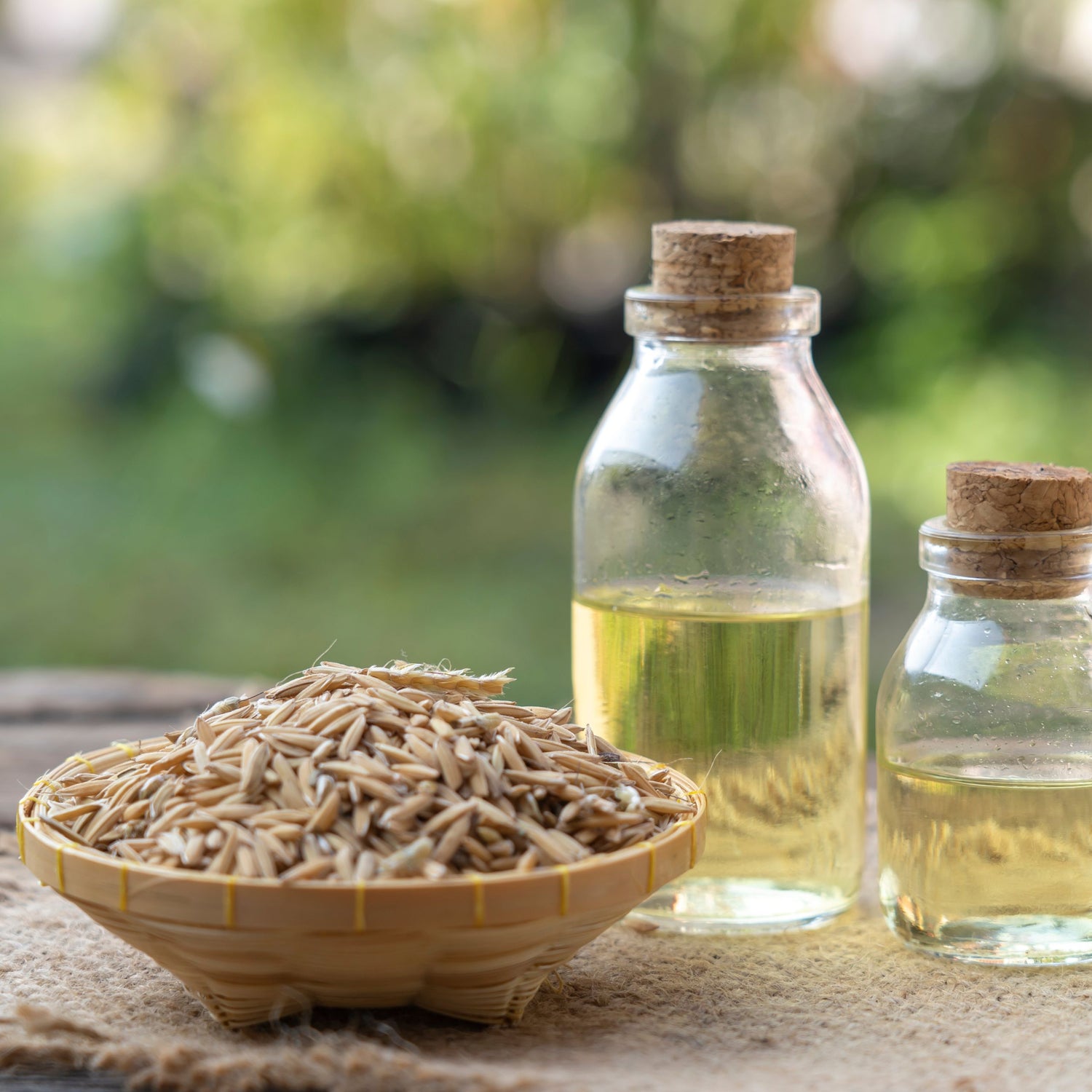 Rice bran oil’s benefits for the hair may be due to its content of y-oryzanol.