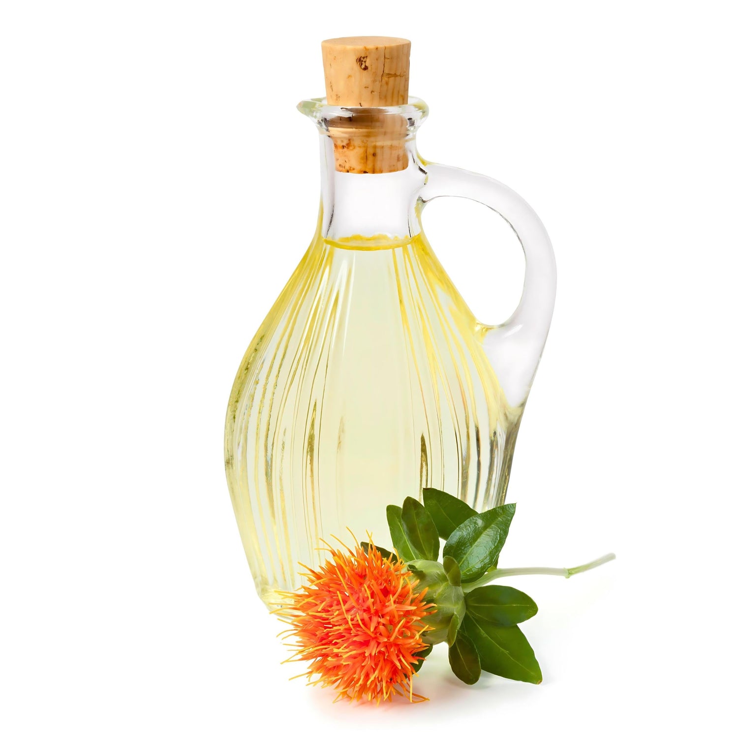 Safflower Floret Extract for Hair Growth: New Research