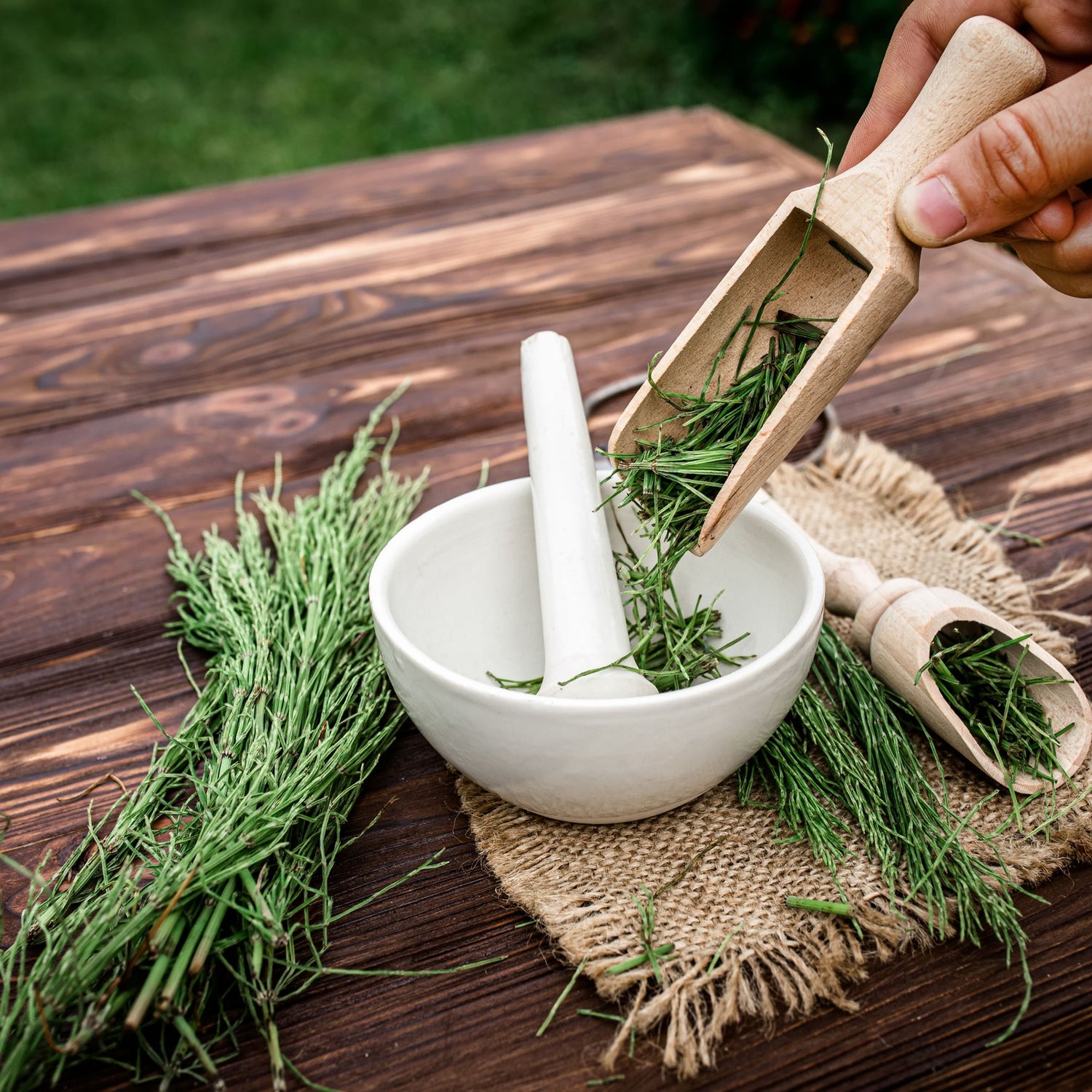 Scientists are researching the beneficial effects of horsetail on hair including its effects on texture, shine, and growth.