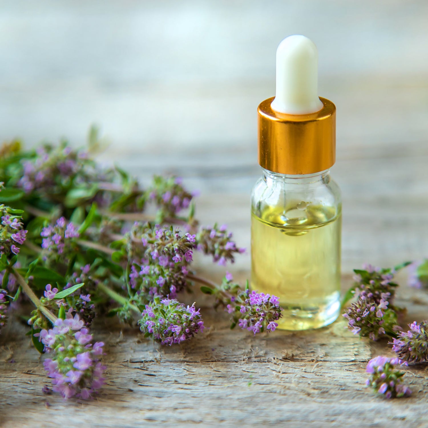 Can you use thyme hair treatments to improve hair health? Studies may suggest thyme oil benefits hair health and strength.