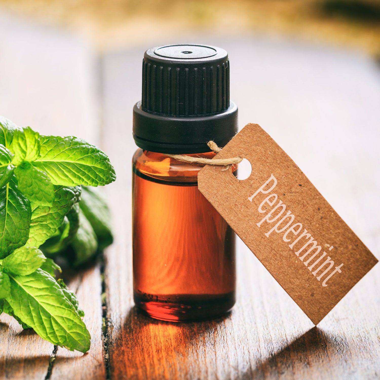 Researchers are looking into the question, "does peppermint oil stimulate hair growth"?